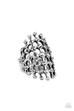 Fiercely Flashy (Silver) Paparazzi Accessories